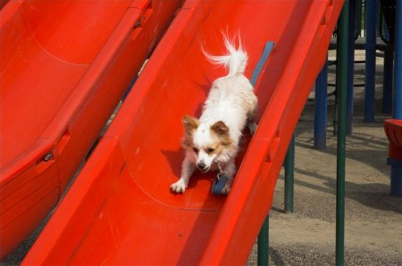 �������� ���� ����� ������������ :)