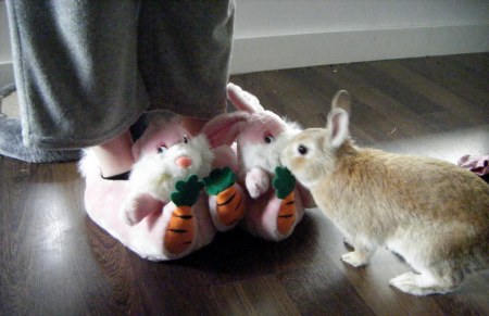 ������� ����������� ;)