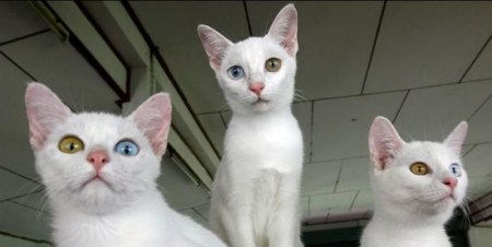 ������������! :)