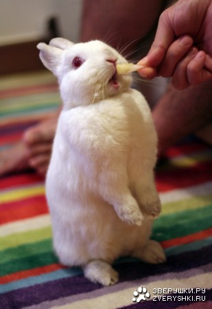 �� ������ ������! :)