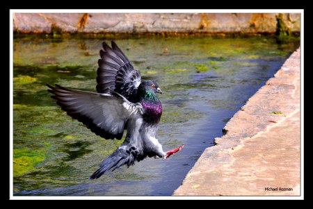 ���� �������� ���������, ��... :)