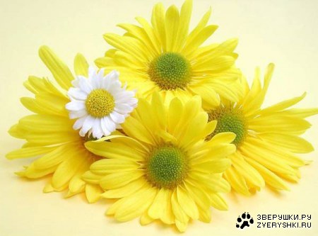 ��������� ��� ��������! :)