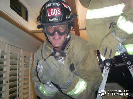 �������� �� ���� (10 ����)