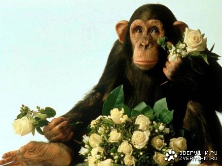 ����������� ��� ��� :)