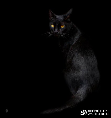 ����� ������ �������� (21 ����)