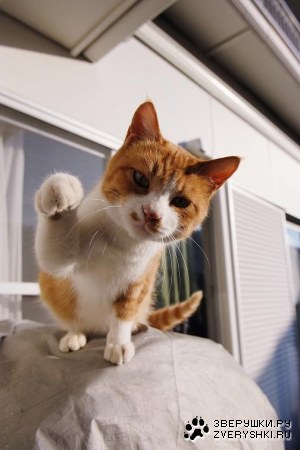 ��-�-�� ��� � ����! ;)