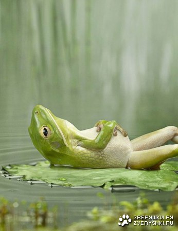 ������� �� ������ :)