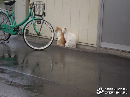 �������? :)