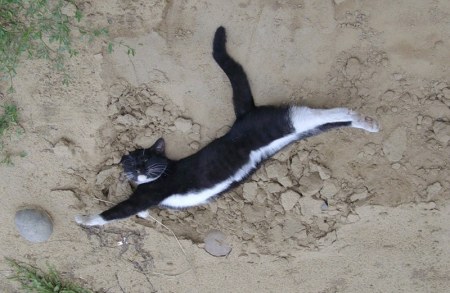 �����, �� ��-������� :)