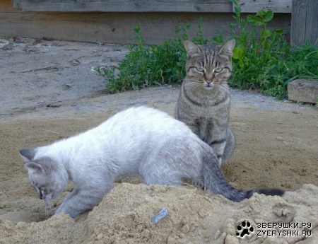 ��������� ��� ���������!