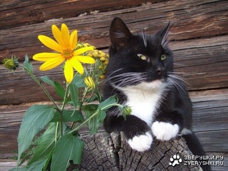 ������� ;)