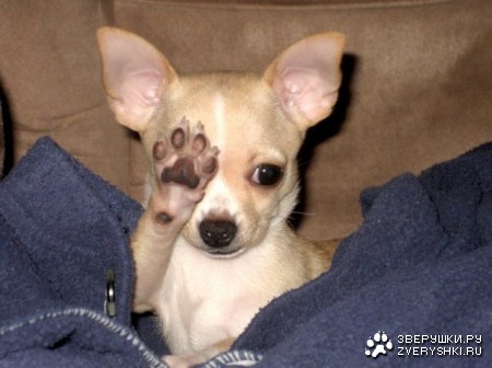 ������! :)