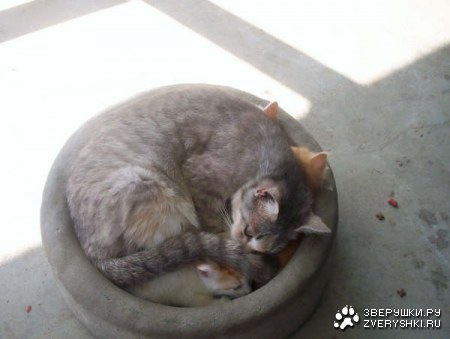 �������� ������� :)