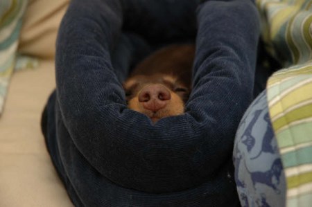 ������ ������ ������! :)