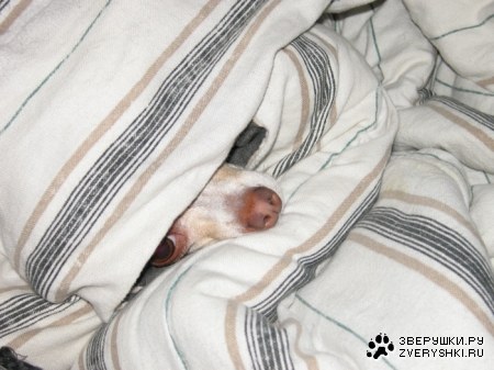 ������ ������ ������! :)