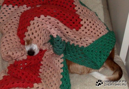 ������ ������ ������! :)