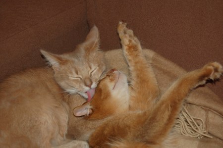 ������� ����� :)