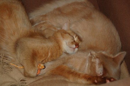 ������� ����� :)