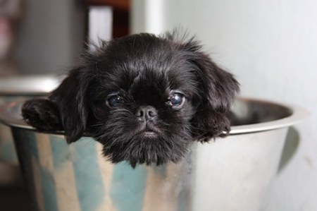 �������! :)