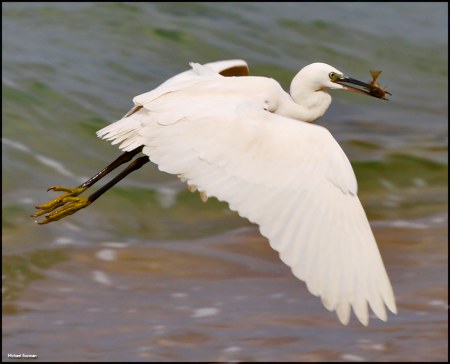 � ����� ;)