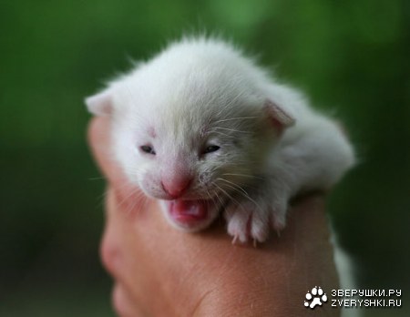 ��������� :)