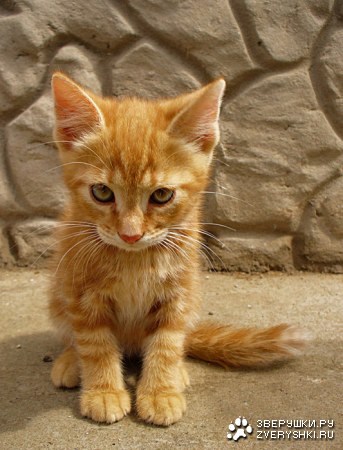 � ���� ��� ��������! :)