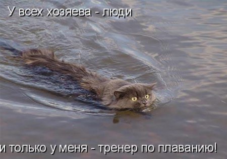 ��������� ���� :)