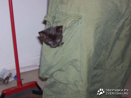 ������� ������ ;)