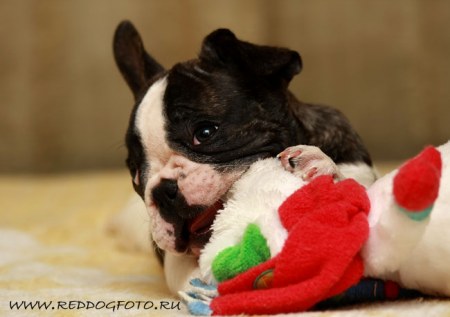 �������������� ������! :)