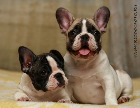 �������������� ������! :)