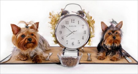 � �������� ����� :)