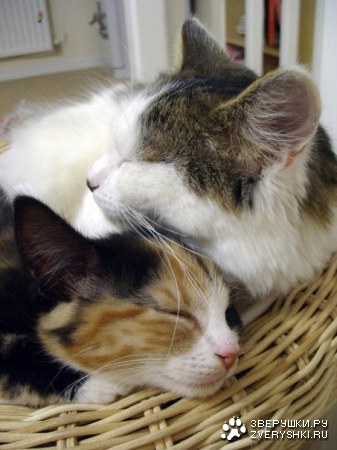 � ��� ������ ������! :)