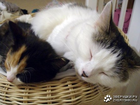 � ��� ������ ������! :)