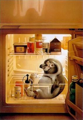 Makoto Muramatsu и его забавные зверушки (8 фото)