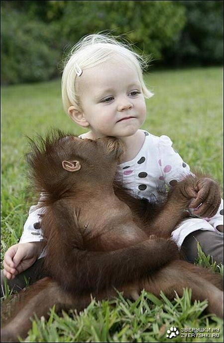 ��������� ������ (8 ����)