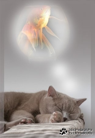 � � ��� ��� ������ ���? :)