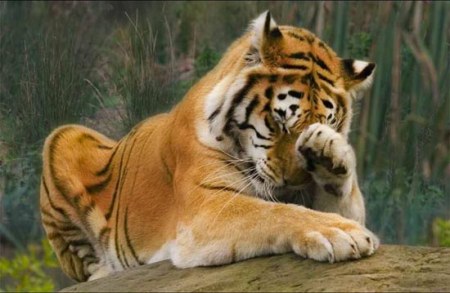 �������� (16 ����)