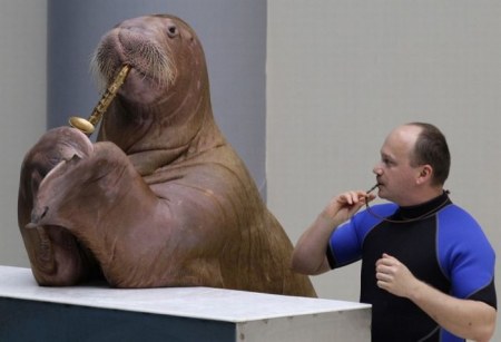 ������ ������� (4 ����)