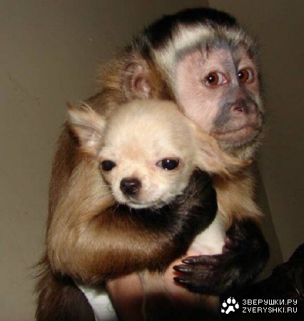 �� �� ��� ������! :)