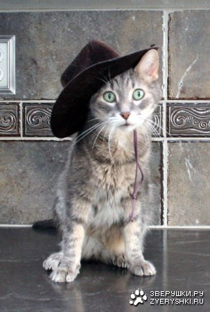 25 �������� ������� :)