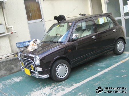 �� ������, ����� �����! :)