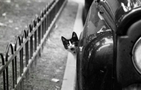 ������������ ���������! :)