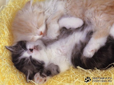 ��������... :)