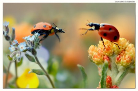 ��������� ��� ���������� :)