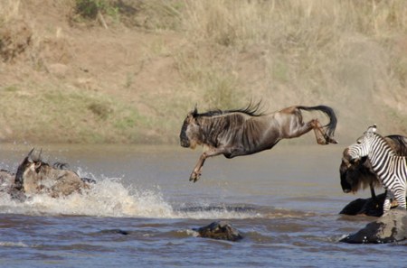 ����������� - ���� ������� ;)