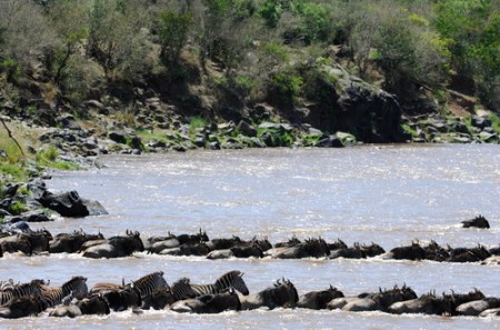 ����������� - ���� ������� ;)