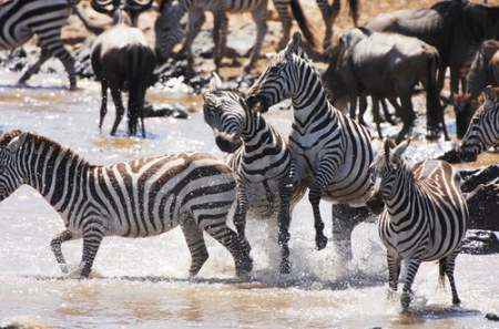 ����������� - ���� ������� ;)