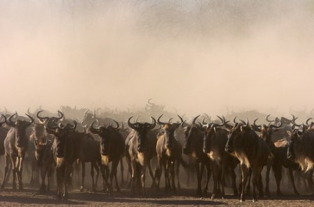 ����������� - ���� ������� ;)