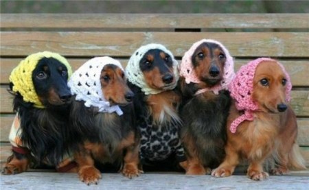 ������ �� ��������� ;)