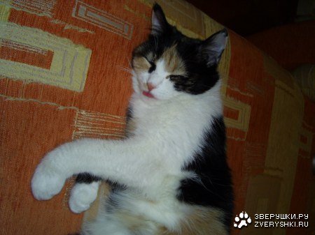 �����, ������ ����� � ������� :)